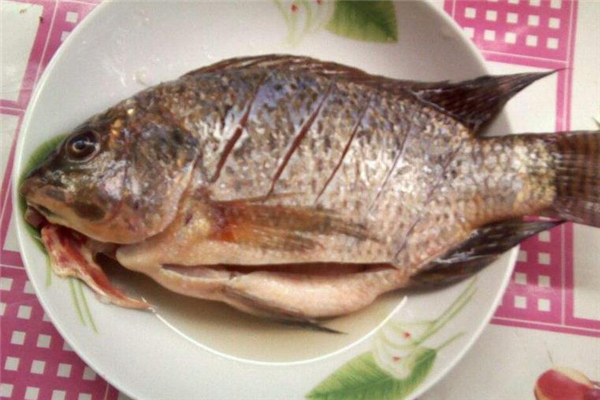 羅非魚怎么做好吃 羅非魚的做法大全 羅非魚怎么做好吃 羅非魚的做法大全