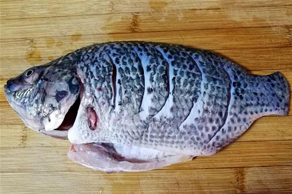 羅非魚刺多嗎 沒有小刺 羅非魚刺多嗎 沒有小刺