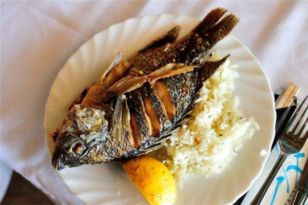 羅非魚為什么那么便宜 產(chǎn)量較多 羅非魚為什么那么便宜 產(chǎn)量較多