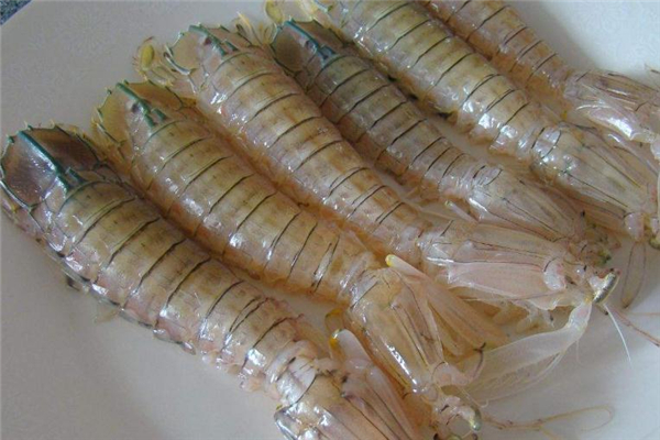 琵琶蝦不能和什么同吃 有這些禁忌 琵琶蝦不能和什么同吃 有這些禁忌