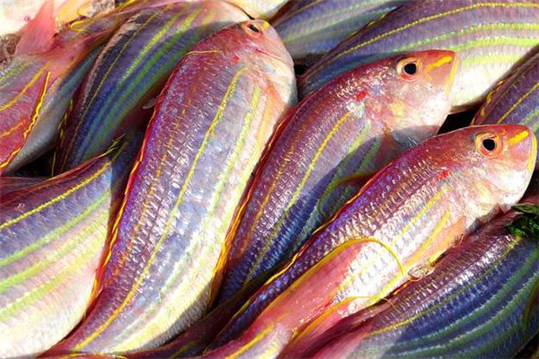 紅杉魚的做法 紅杉魚怎么做好吃 紅杉魚的做法 紅杉魚怎么做好吃