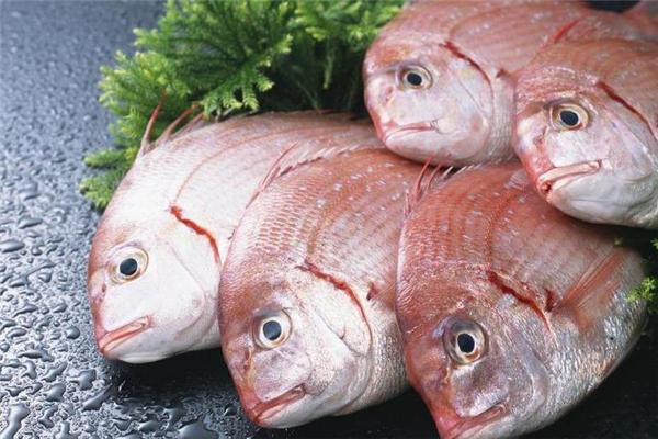 紅杉魚的做法 紅杉魚怎么做好吃 紅杉魚的做法 紅杉魚怎么做好吃