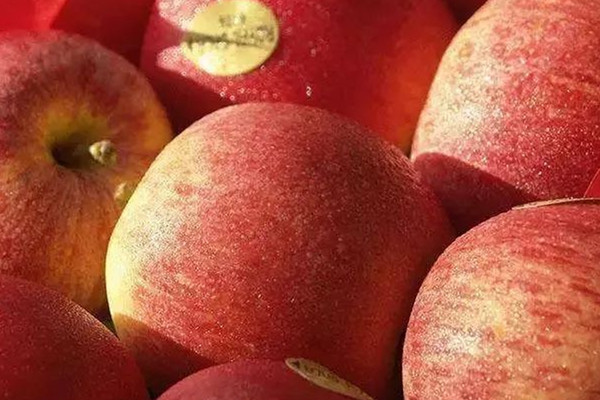 睡覺前吃蘋果好嗎 蘋果的好處 睡覺前吃蘋果好嗎 蘋果的好處