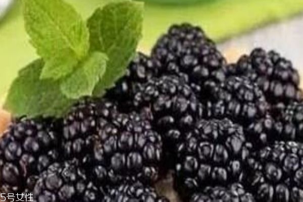 桑葚放一晚上會壞嗎 怎么判斷桑葚變質(zhì)了 桑葚放一晚上會壞嗎 怎么判斷桑葚變質(zhì)了