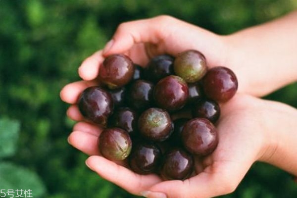 葡萄沒洗就吃了肚子痛怎么辦 葡萄不洗剝皮能吃 葡萄沒洗就吃了肚子痛怎么辦 葡萄不洗剝皮能吃