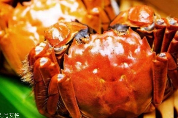 陽(yáng)澄湖大閘蟹的鑒別方法 4步教你如何辨別 陽(yáng)澄湖大閘蟹的鑒別方法 4步教你如何辨別