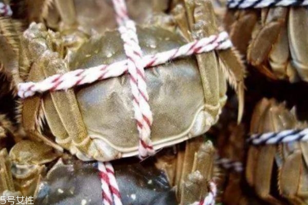 怎么分辨大閘蟹死活 4個方法教你分辨 怎么分辨大閘蟹死活 4個方法教你分辨