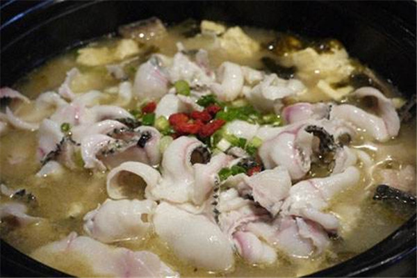 黑魚可以生吃嗎 黑魚好處 黑魚可以生吃嗎 黑魚好處