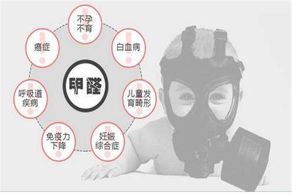 菠蘿蜜能去甲醛嗎 甲醛去除方法 菠蘿蜜能去甲醛嗎 甲醛去除方法