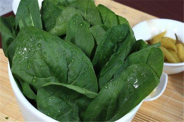 菠菜能去皺嗎 去皺的方法 菠菜能去皺嗎 去皺的方法
