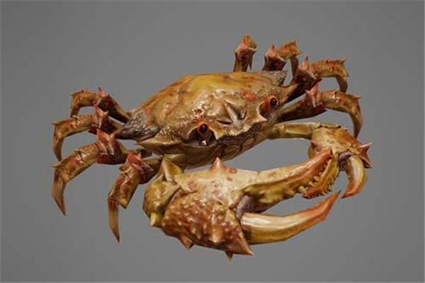 菠菜能和螃蟹一起吃嗎 螃蟹吃法 菠菜能和螃蟹一起吃嗎 螃蟹吃法