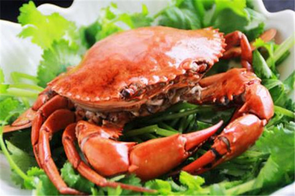 菠菜能和螃蟹一起吃嗎 螃蟹吃法 菠菜能和螃蟹一起吃嗎 螃蟹吃法