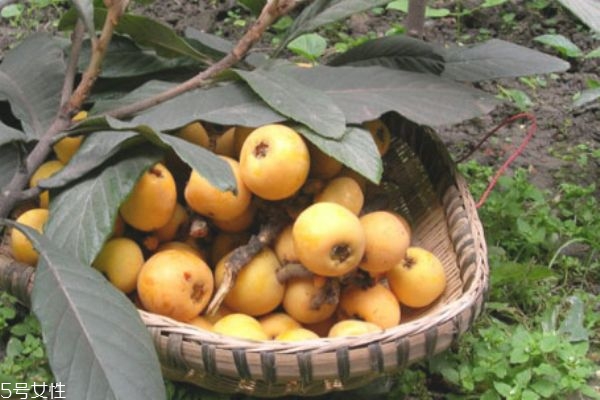 怎么剝枇杷不臟手 枇杷膏的做法 怎么剝枇杷不臟手 枇杷膏的做法