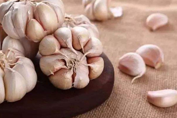 大蒜可以放冰箱保存嗎 大蒜的保存方法 大蒜可以放冰箱保存嗎 大蒜的保存方法
