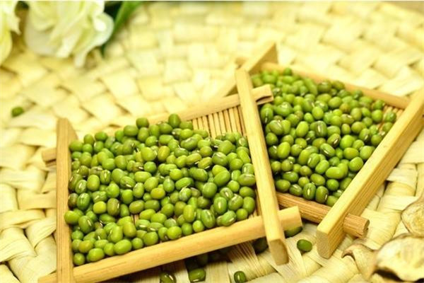 綠豆可以和紅棗一起吃嗎 綠豆功效 綠豆可以和紅棗一起吃嗎 綠豆功效