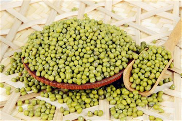 綠豆可以和紅棗一起吃嗎 綠豆功效 綠豆可以和紅棗一起吃嗎 綠豆功效