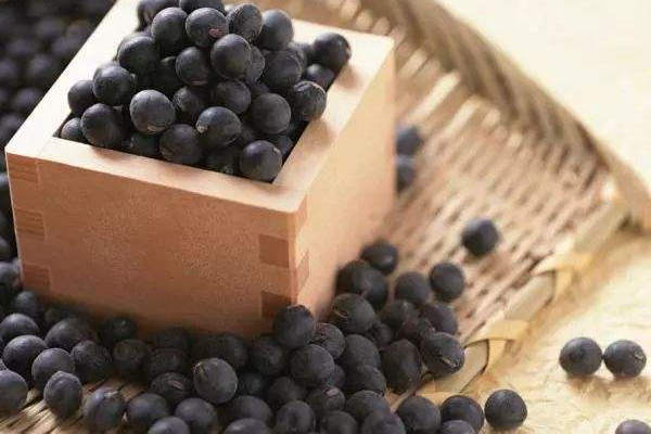 黑豆可以生吃嗎 黑豆的功效 黑豆可以生吃嗎 黑豆的功效