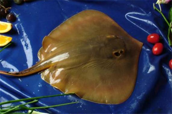 老板魚怎么做好吃 老板魚的做法大全 老板魚怎么做好吃 老板魚的做法大全