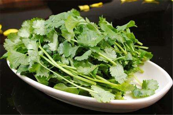 香菜能減肥嗎 香菜怎么吃好 香菜能減肥嗎 香菜怎么吃好