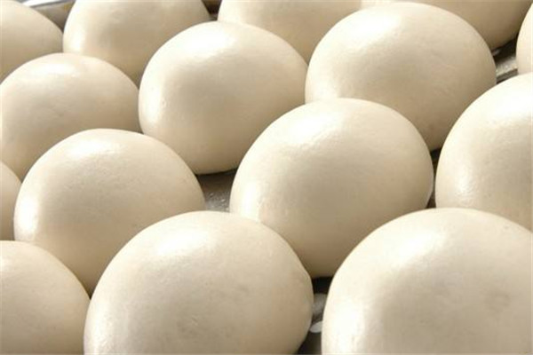 饅頭可以放冰箱冷凍嗎 饅頭怎么保存好 饅頭可以放冰箱冷凍嗎 饅頭怎么保存好