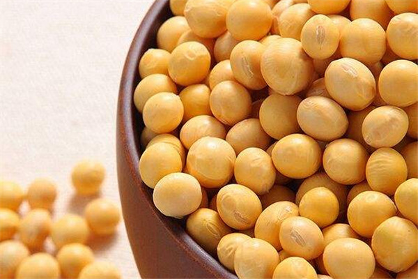 黃豆可以和花生一起打漿豆?jié){嗎 黃豆怎么吃好 黃豆可以和花生一起打漿豆?jié){嗎 黃豆怎么吃好