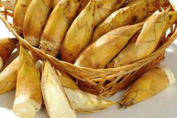 如何挖春筍 冬筍好還是春筍好 如何挖春筍 冬筍好還是春筍好
