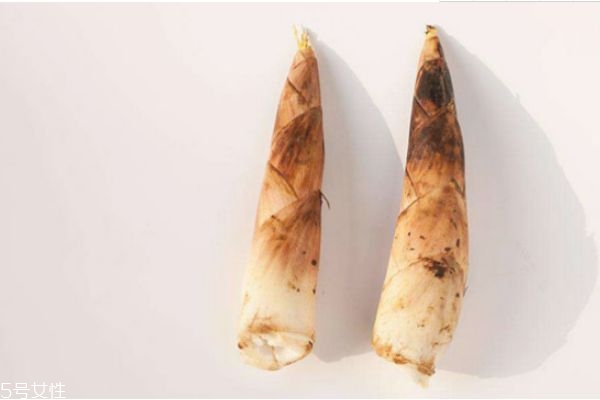 如何挖春筍 冬筍好還是春筍好 如何挖春筍 冬筍好還是春筍好