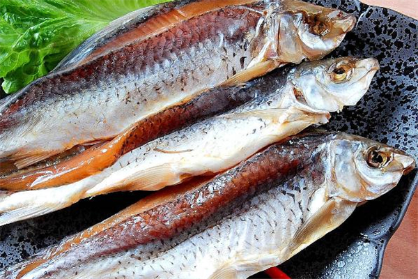 鯪魚是什么魚 鯪魚是海魚還是淡水魚 鯪魚是什么魚 鯪魚是海魚還是淡水魚