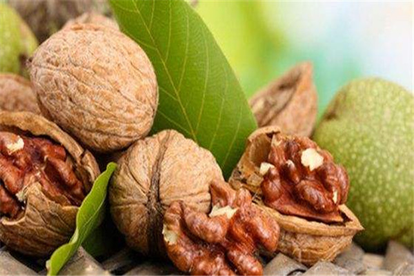 核桃可以補(bǔ)腦嗎 核桃怎么吃好 核桃可以補(bǔ)腦嗎 核桃怎么吃好
