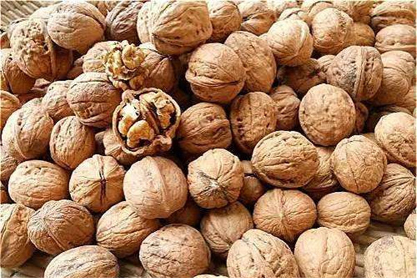 核桃可以補(bǔ)腦嗎 核桃怎么吃好 核桃可以補(bǔ)腦嗎 核桃怎么吃好