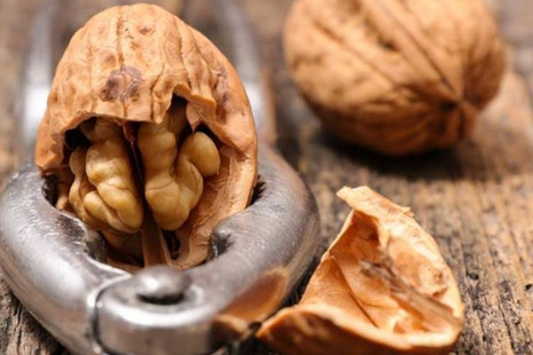 核桃可以補(bǔ)腦嗎 核桃怎么吃好 核桃可以補(bǔ)腦嗎 核桃怎么吃好