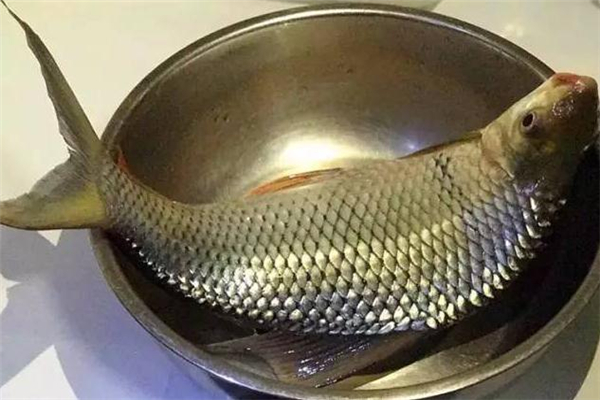 鯪魚皮怎么剝 鯪魚脫骨步驟詳解 鯪魚皮怎么剝 鯪魚脫骨步驟詳解