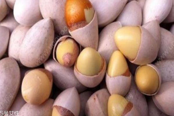 白果怎么吃不會中毒 藥用和食用白果的區(qū)別 白果怎么吃不會中毒 藥用和食用白果的區(qū)別