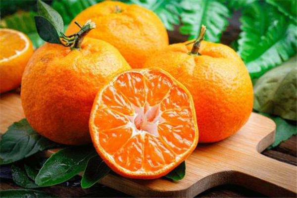 橘子可以和蜂蜜一起吃嗎 橘子蜂蜜做法 橘子可以和蜂蜜一起吃嗎 橘子蜂蜜做法
