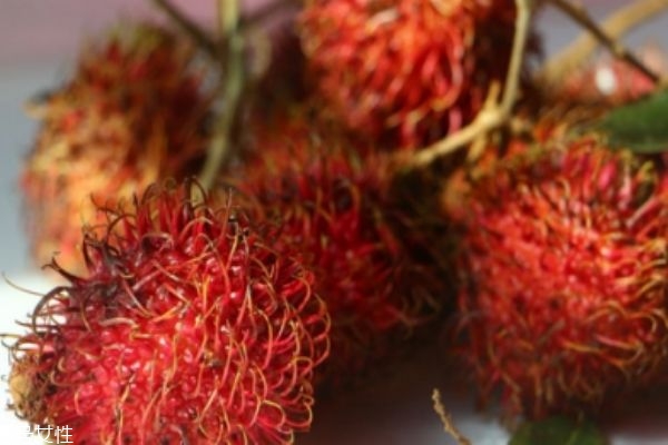 紅毛丹能不能常溫保存 最好冷藏保存 紅毛丹能不能常溫保存 最好冷藏保存