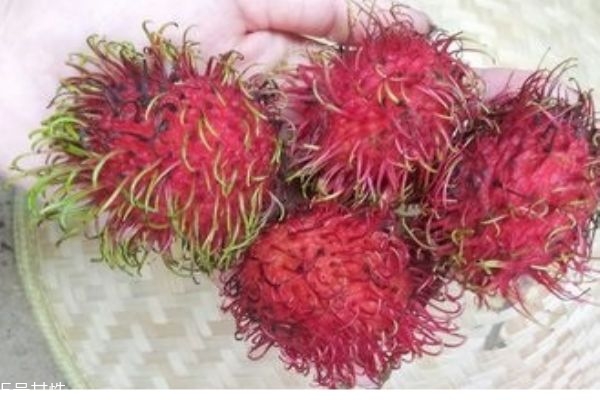 紅毛丹可以空腹吃嗎 不宜多吃 紅毛丹可以空腹吃嗎 不宜多吃