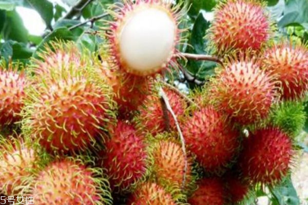 紅毛丹酸了是壞了嗎 紅毛丹可以放幾天 紅毛丹酸了是壞了嗎 紅毛丹可以放幾天