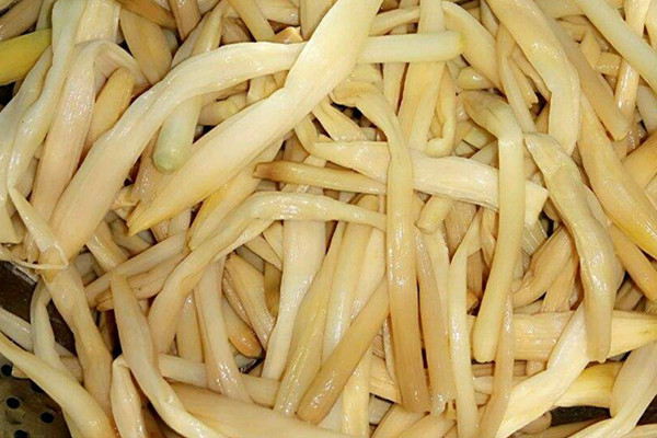 黃花菜可以減肥嗎 黃花菜作用 黃花菜可以減肥嗎 黃花菜作用