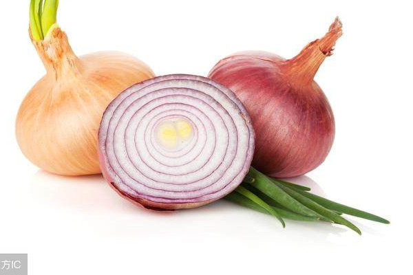 洋蔥可以和香菇一起吃嗎 洋蔥的功效 洋蔥可以和香菇一起吃嗎 洋蔥的功效