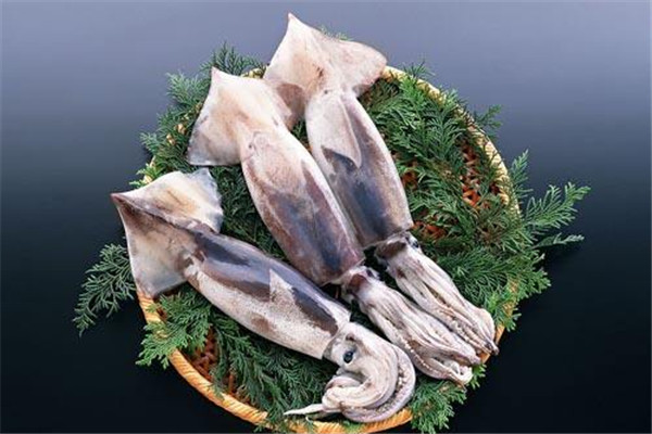 魷魚可以生吃嗎 魷魚的功效 魷魚可以生吃嗎 魷魚的功效
