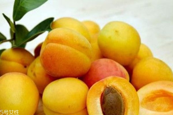 杏子是枇杷嗎 枇杷和杏子的區(qū)別 杏子是枇杷嗎 枇杷和杏子的區(qū)別