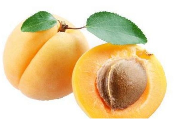 杏子和青梅的區(qū)別 青梅的營養(yǎng)價值 杏子和青梅的區(qū)別 青梅的營養(yǎng)價值