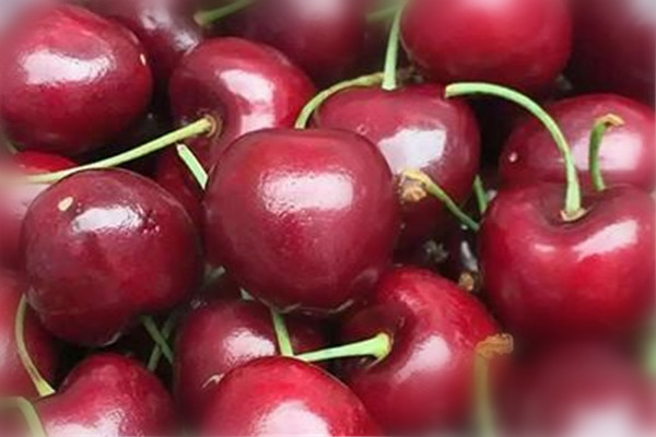 車?yán)遄雍蜋烟夷膫€(gè)好 車?yán)遄雍蜋烟业淖饔? alt=