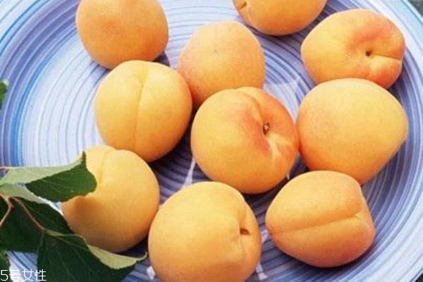 杏子吃多了會(huì)上火嗎 不宜多吃 杏子吃多了會(huì)上火嗎 不宜多吃