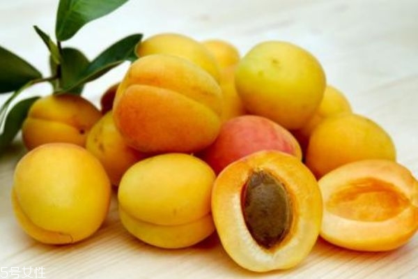 杏子吃多了會(huì)上火嗎 不宜多吃 杏子吃多了會(huì)上火嗎 不宜多吃