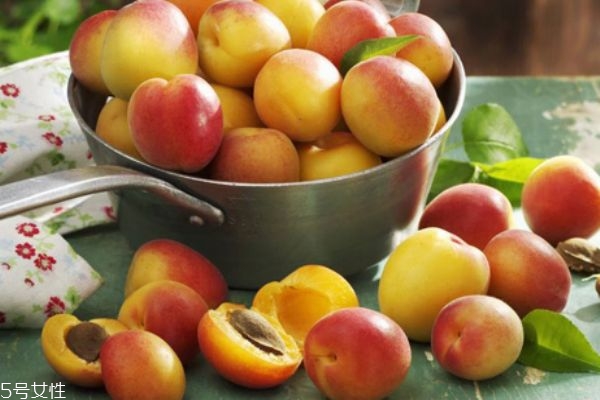 杏干孕婦可以吃嗎 吃杏子會(huì)流產(chǎn)嗎 杏干孕婦可以吃嗎 吃杏子會(huì)流產(chǎn)嗎