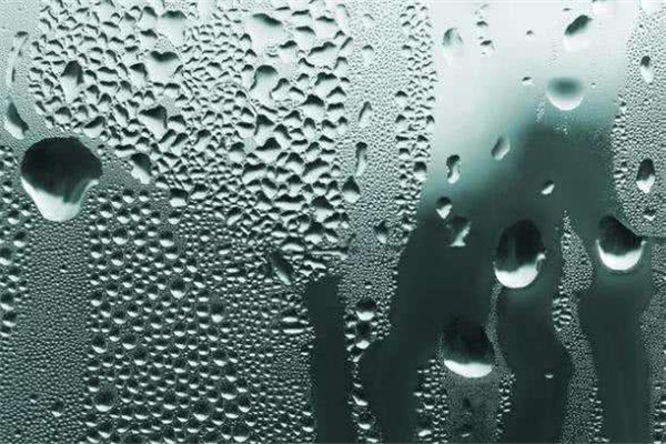 體內(nèi)濕氣重吃什么去除 濕氣重吃什么食物 體內(nèi)濕氣重吃什么去除 濕氣重吃什么食物