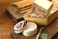 芝士的營養(yǎng)價(jià)值 芝士的功效與作用 芝士的營養(yǎng)價(jià)值 芝士的功效與作用