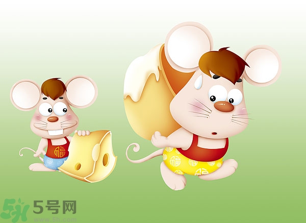 吃奶酪會(huì)過敏嗎？芝士是發(fā)物嗎？