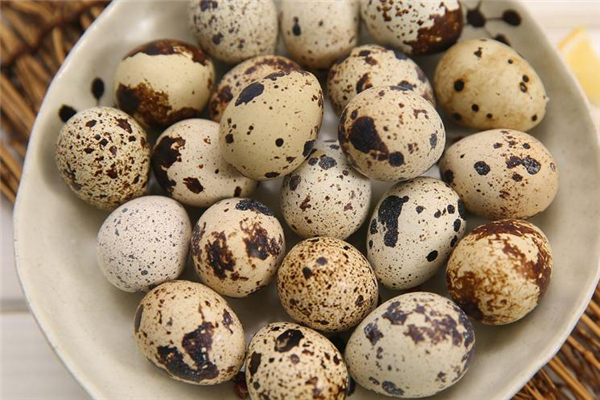 鵪鶉蛋膽固醇含量高嗎 要注意控制 鵪鶉蛋膽固醇含量高嗎 要注意控制